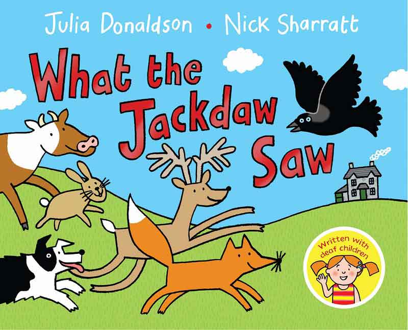 What The Jackdaw Saw book cover