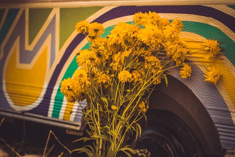 Flower names for a Hippy Baby