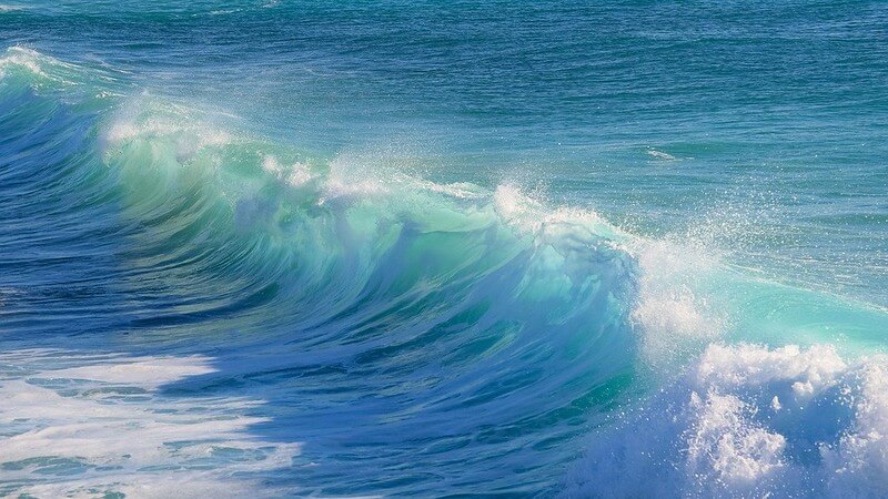 52 Ocean Jokes That Are Shore To Make You Chuckle
