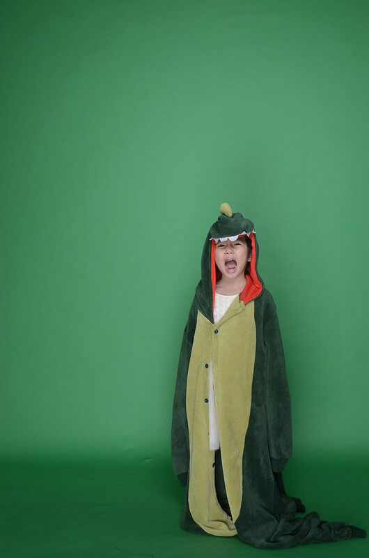 Dinosaur Puns