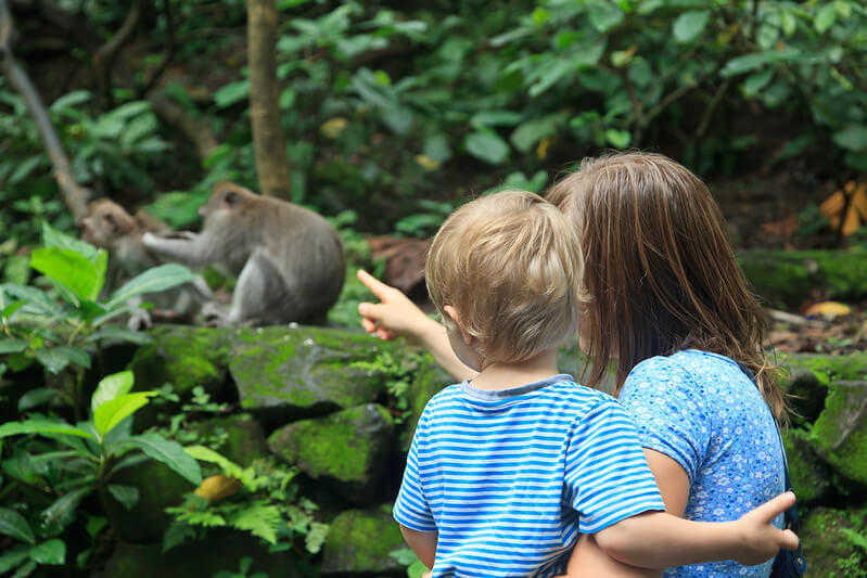A Child And Parent Seeing Monkeys At The Zoo