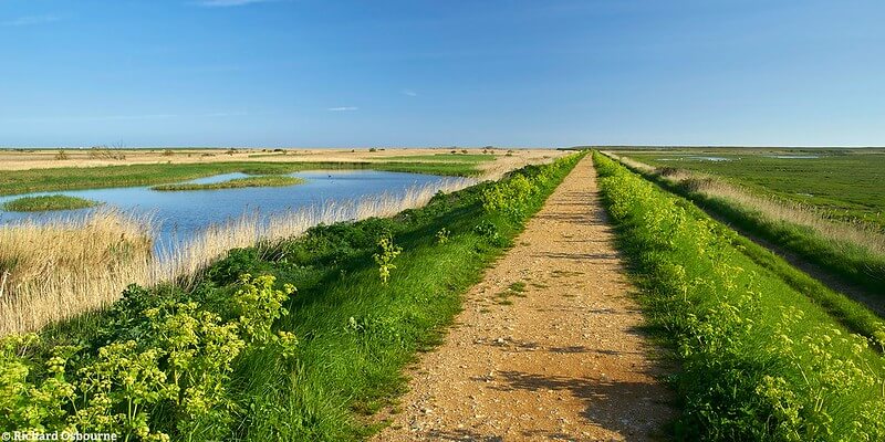 country park outdoors