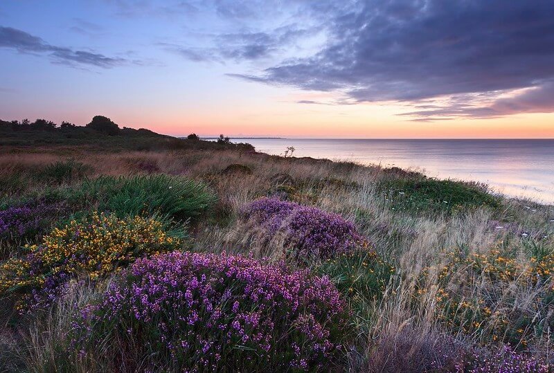 Dunwich Heath Beach