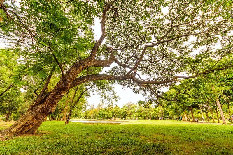 Parks And Open Spaces To Visit in North London