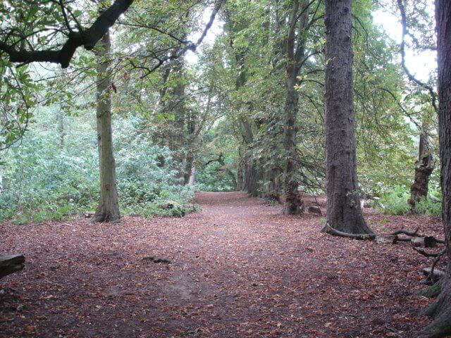 Keephatch Park Nature Reserve