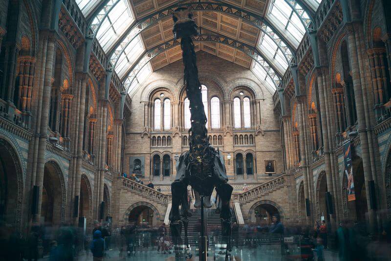 Top Things To Do In London With Toddlers