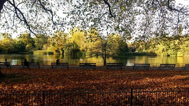 Top Things To Do In London With Toddlers