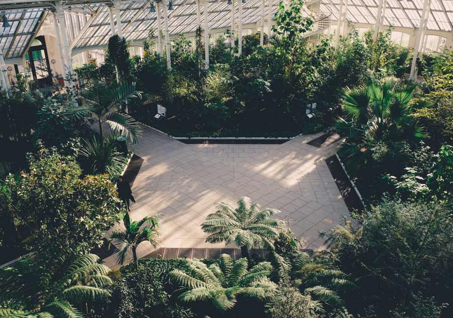 kew gardens greenhouse