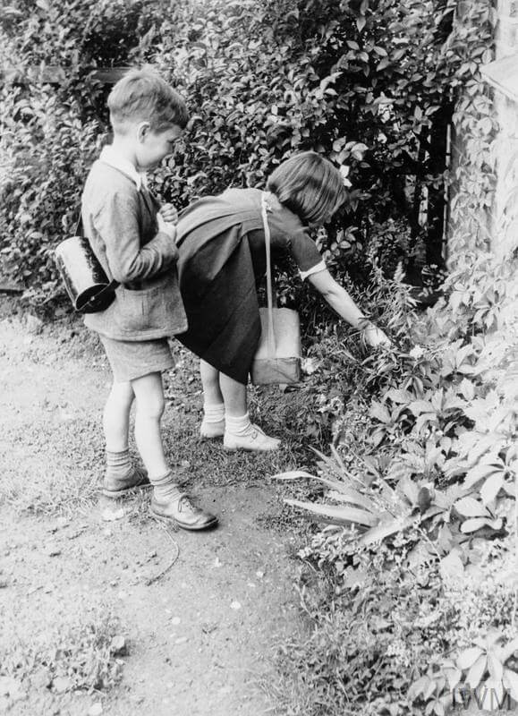 gas masks ww2