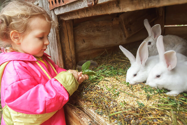 Godstone Farm in Purley