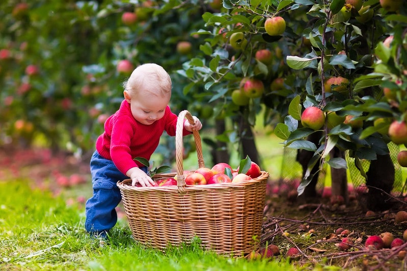 Boy with a Nature-Inspire Boy Name beginning with N