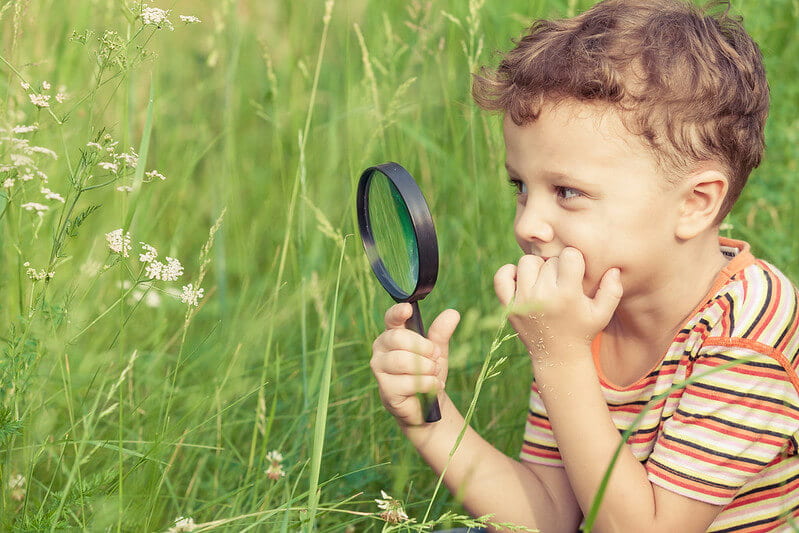 Some fantastic minibeasts activities could be looking in the grass with your magnifying glass like this boy, at Mission Invertebrate