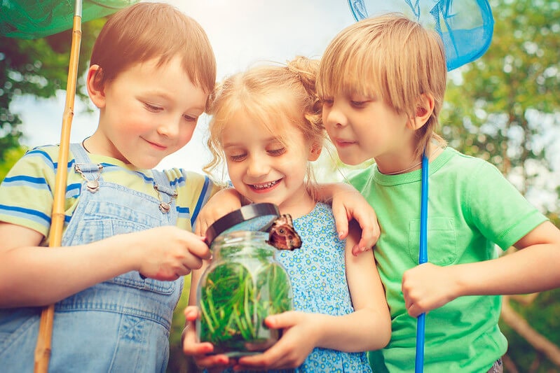 Children hunting for bugs in their back garden to put them in a jar for viewing is one of our fantastic minibeasts activities.