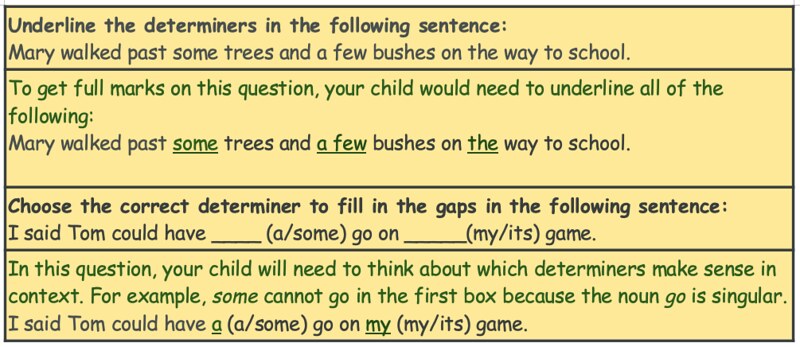 Sample of determiner KS2 questions