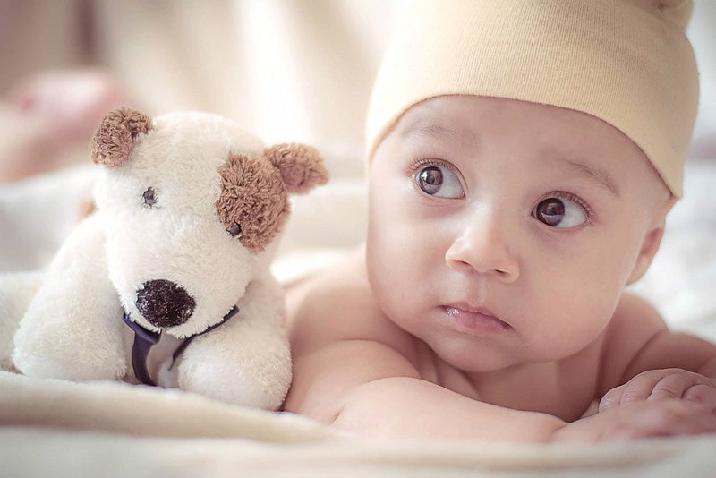Baby boy with an uncertain expression lying on his tummy on the bed next to a soft toy dog.