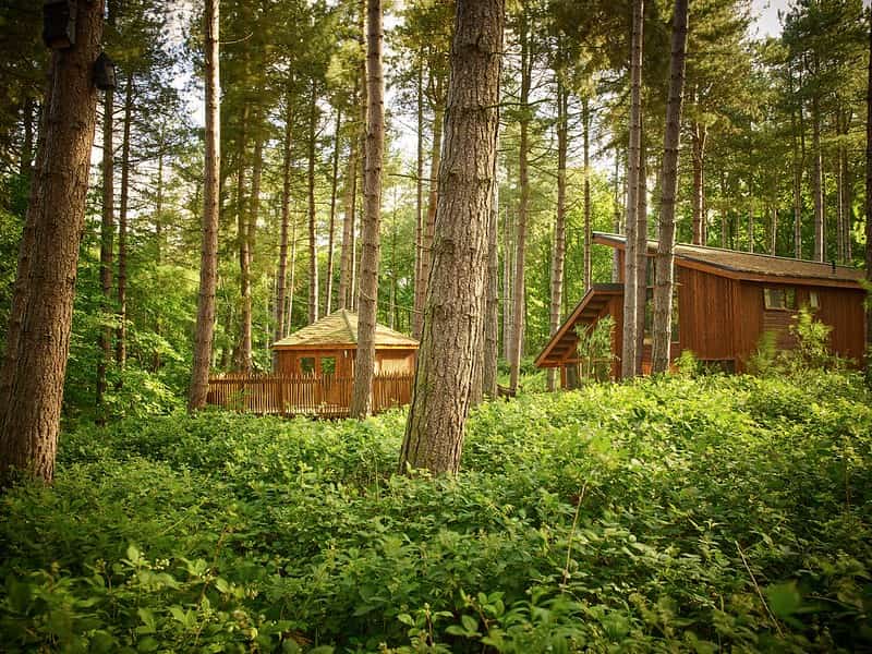 Lodges in Sherwood Forest for family holidays with teenagers