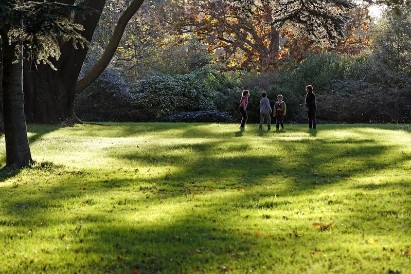 Children playing at Osterley Park.