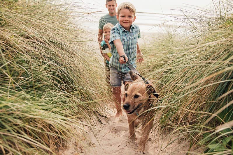 Dad and his sons happily walking the dog along the beach at Newquay Bay Resort.