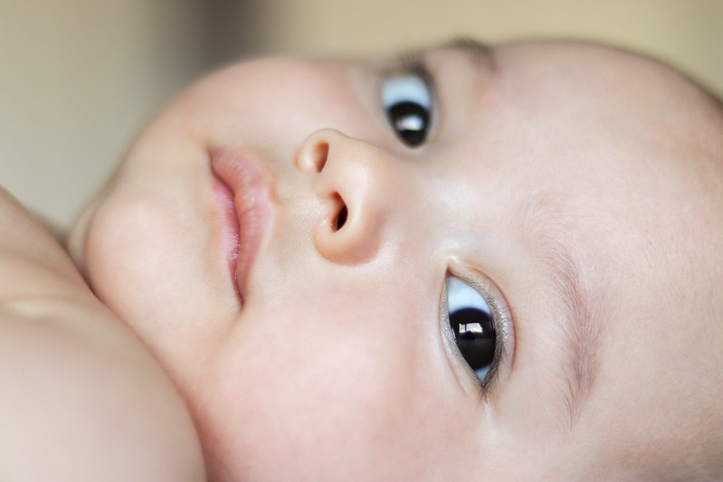 Newborn baby boy looking intently at parents.