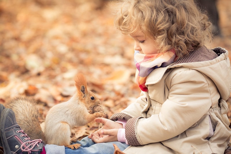 Little girl wearing scarf and coat feeding a squirrel with fluffy ears.