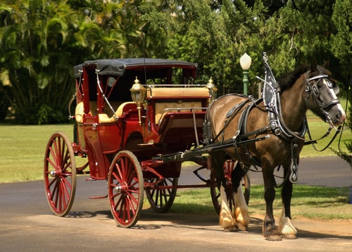 Dark red horse drawn carriage with nice leather seating.