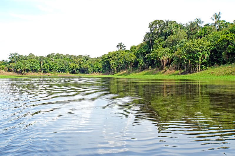 View from the side of a tropical river with jungle along it.