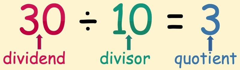 Explanation of the division terms.