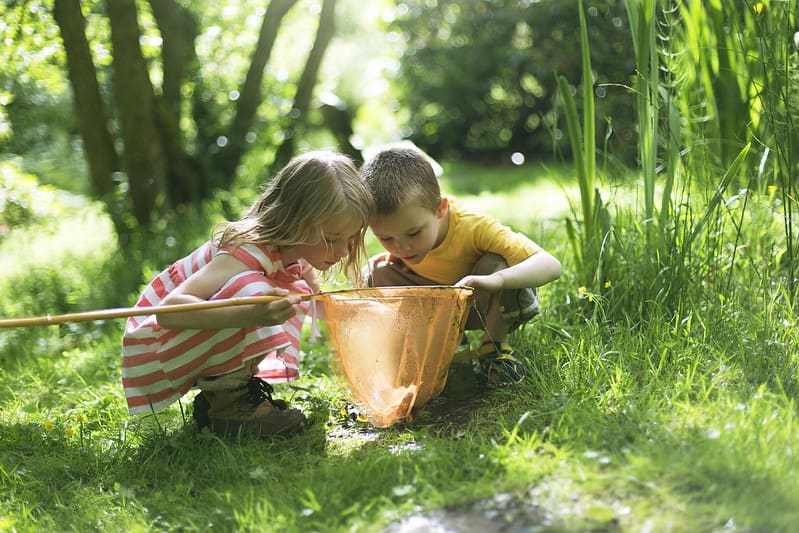 Little boy and girl looking in their fishnet for frogs and toads.