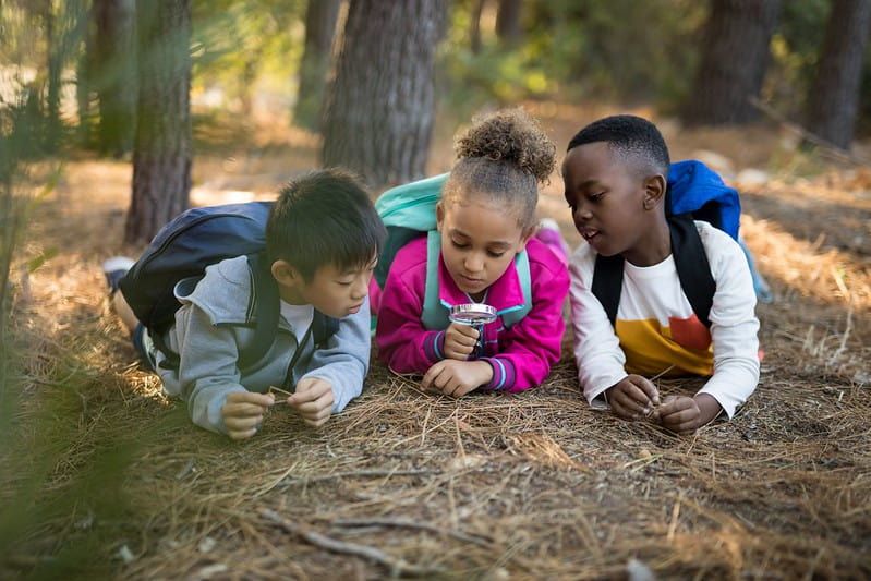Three kids lying on the ground outdoor inspecting fungi.