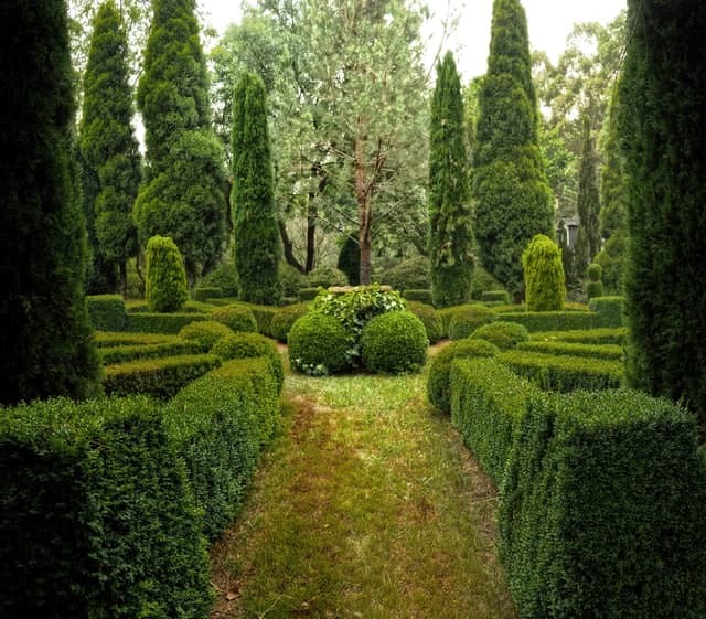 View of all the hedges at Seaforde Tropical Gardens