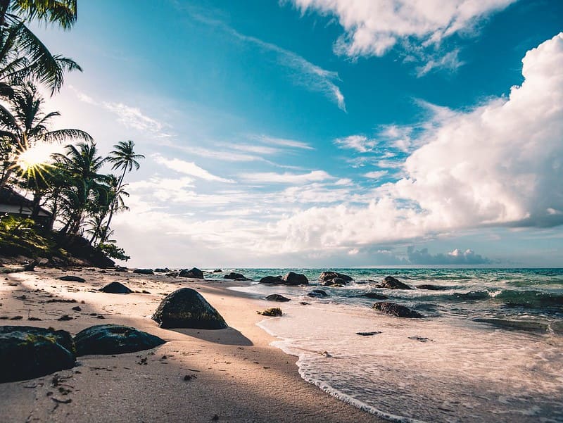 Beautiful beach with waves crashing on the shore and palm trees.