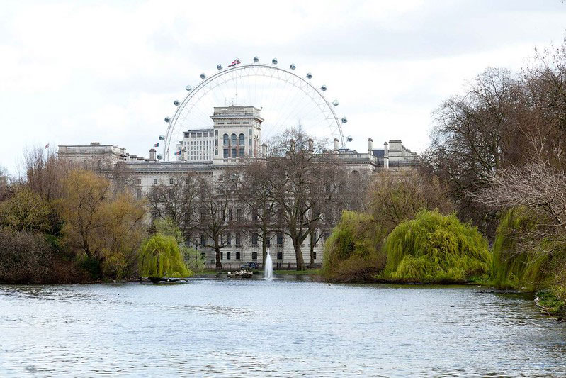 View of the London Eye from the lake at St James's Park.