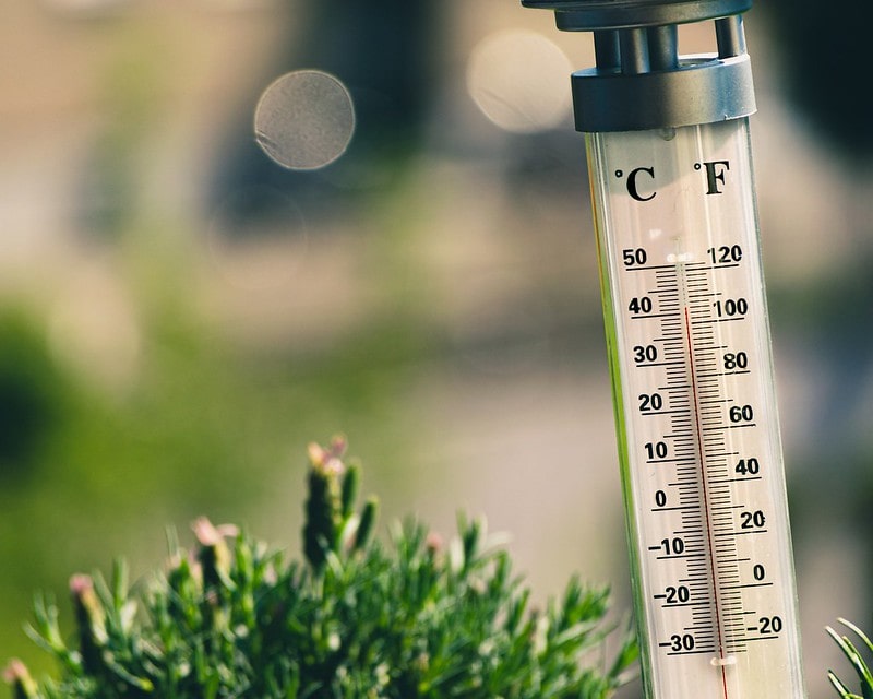 A thermometer reading shown as an example of learning negative numbers.