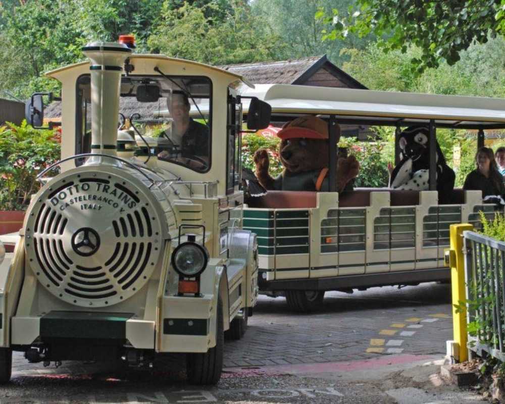 The Lost Madagascar Tain riding around the park.
