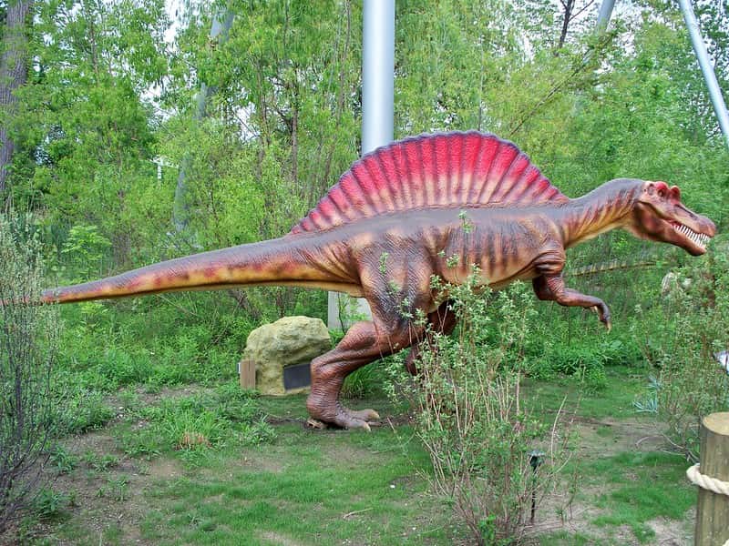 Large model of a Spinosaurus in a green forest.