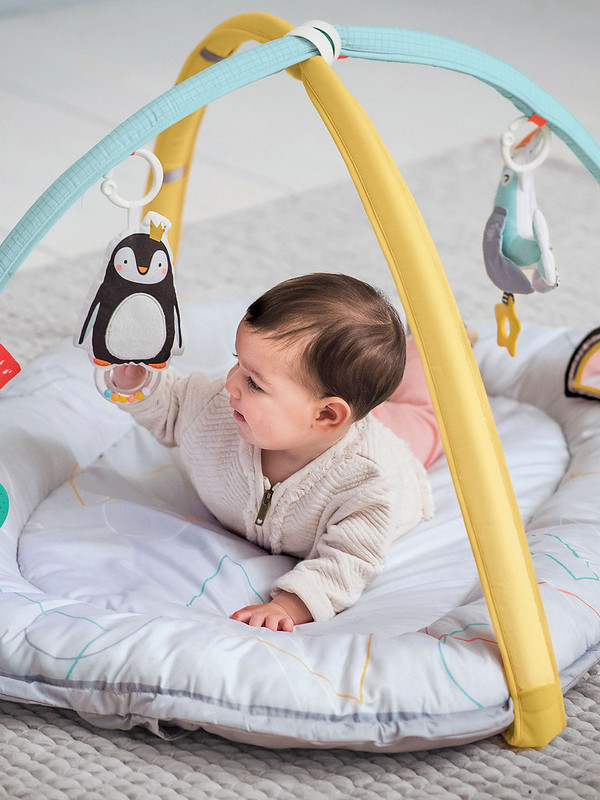 A Taf Toys Musical Newborn Gym.