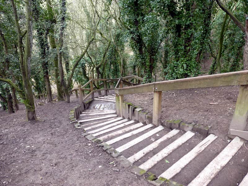 Staircase leading further down into the woodland at Humber Bridge Country Park.
