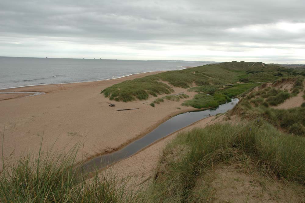 Grassy hills over the sand at Balmedie Beach, Aberdeen.