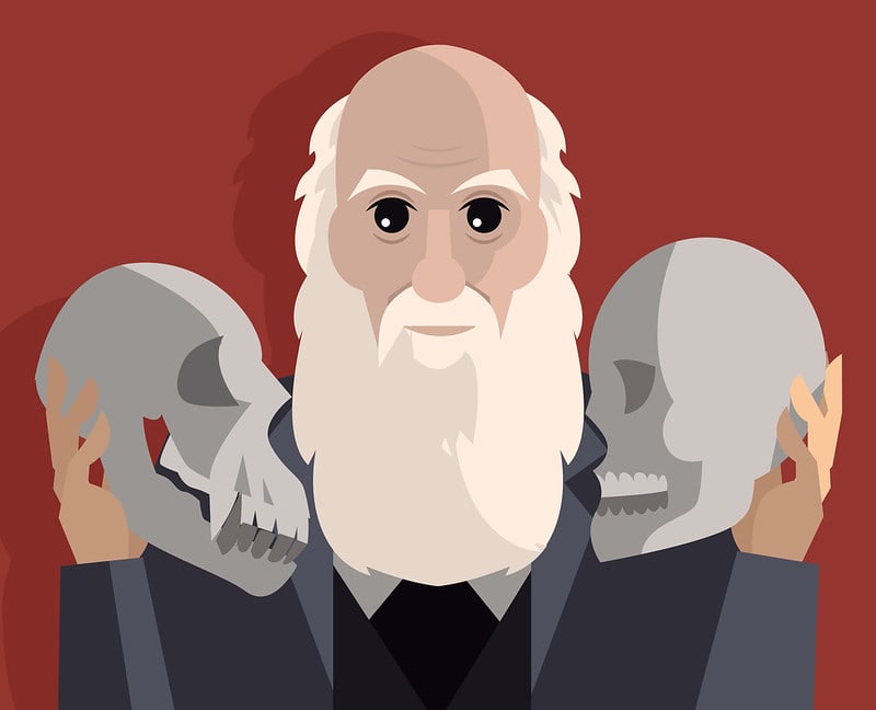 Cartoon drawing of Charles Darwin holding up a skull in either hand.