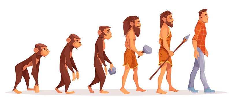 Cartoon showing human evolution.