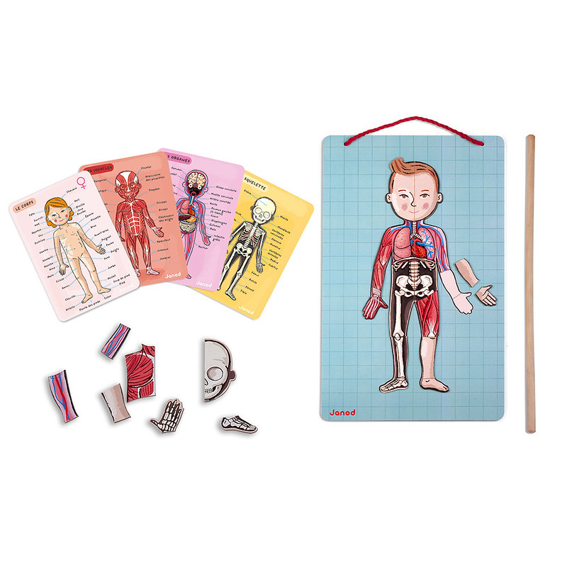 Janod Human Body Magnet Game.