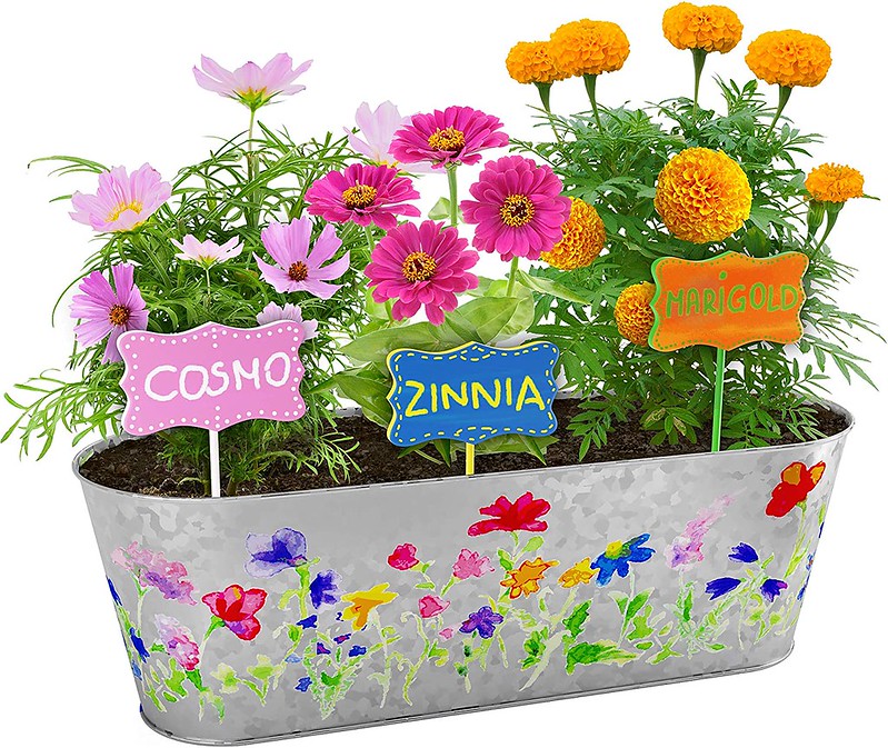 Paint & Plant Flower Growing Kit.