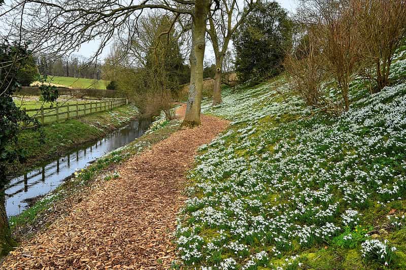 Flower-covered grass and stream in Easton Walled Gardens.