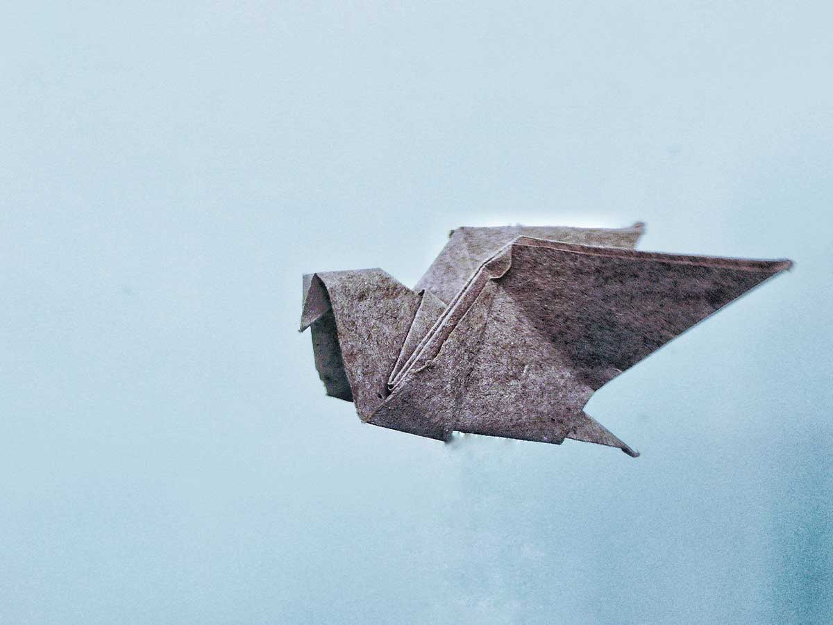 Grey textured origami bird against a blue background.