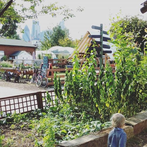 Spitalfields Farm!