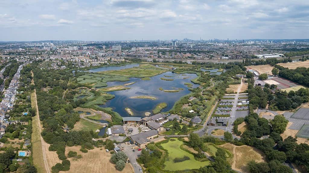 Aerial view of the London Wetland Centre.