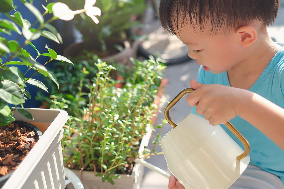 Young boy watering the plants with a white watering can.