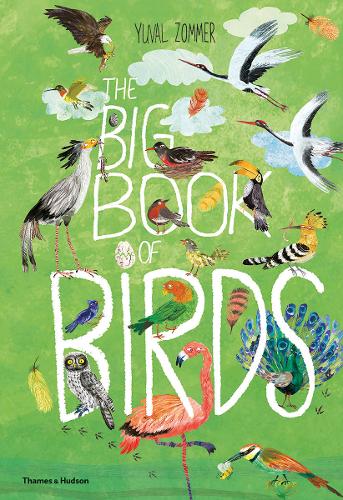 The Big Book Of Birds by Yuval Zommer.