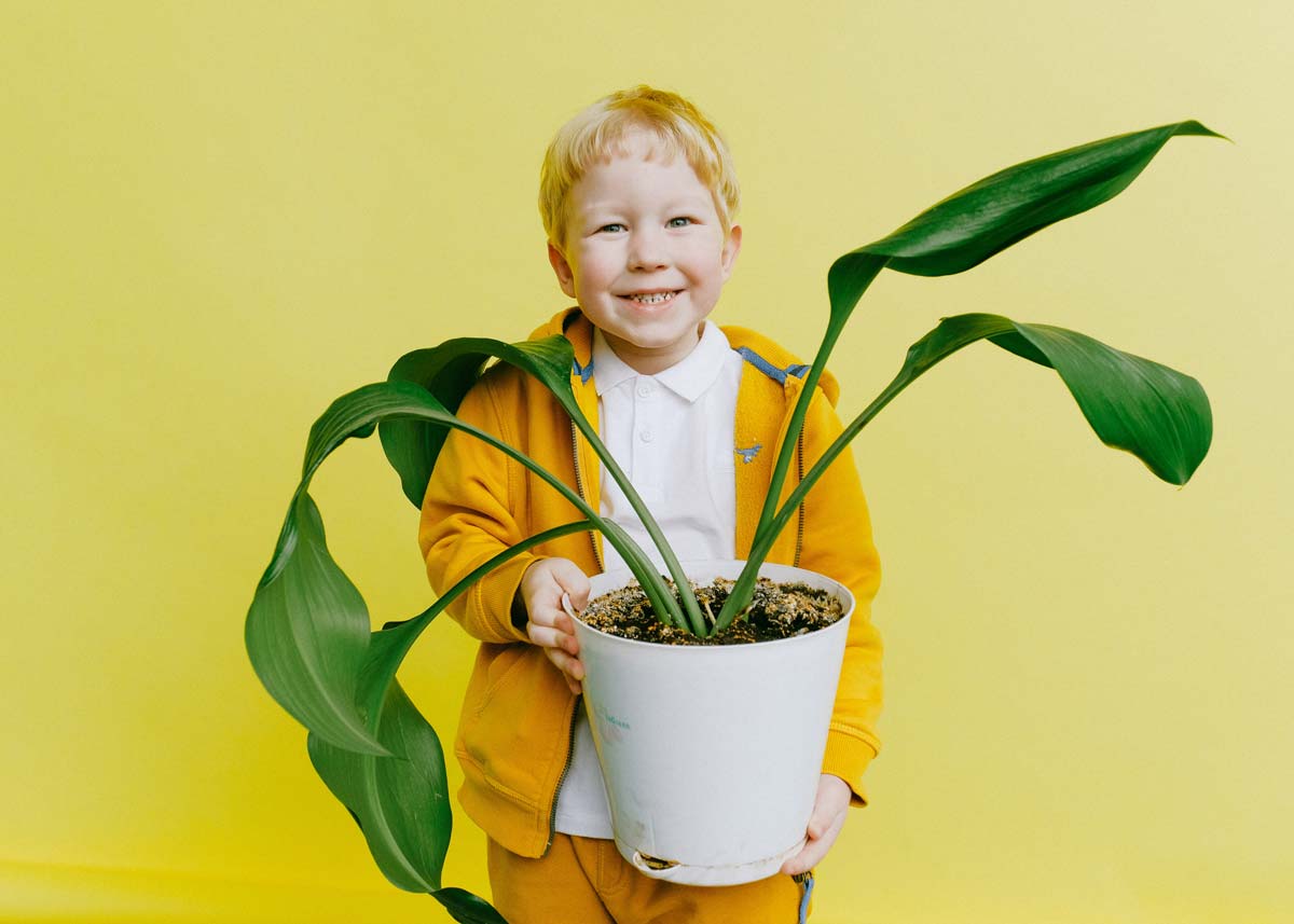 Young boy smiling as he holds up a plant in a pot standing in front of a yellow background.