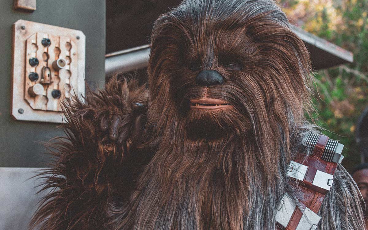 Chewbacca, from Star Wars.